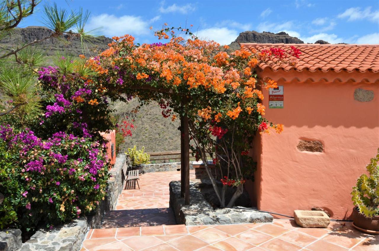 Finca Las Olivas - Unique Country House With Heated Pool Maspalomas  Exterior photo