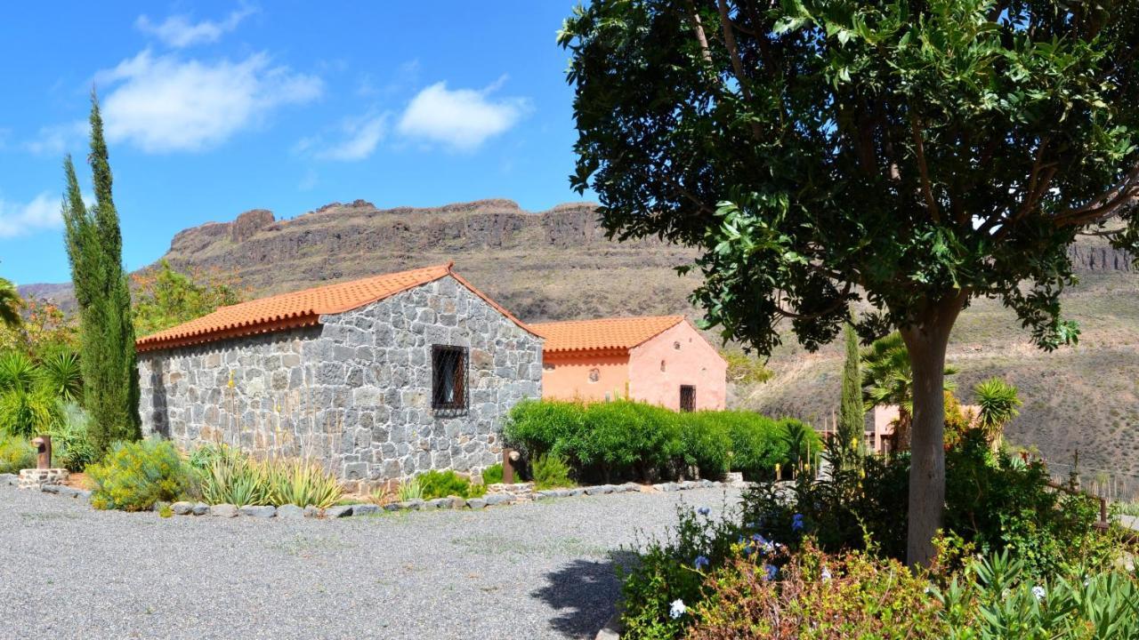 Finca Las Olivas - Unique Country House With Heated Pool Maspalomas  Exterior photo